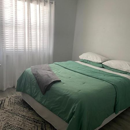Modern Townhome Tampa Zewnętrze zdjęcie